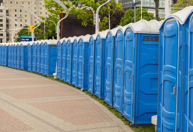 Seasonal porta potty units set up at a Erie, Pennsylvania venue